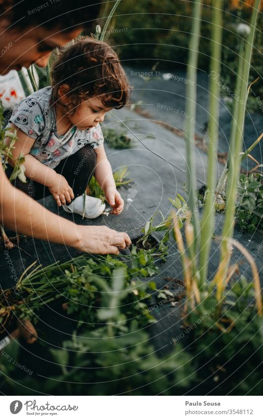 Mutter und Tochter bei der Gartenarbeit Tomate Bepflanzung Mutterschaft Kind Zusammensein Zusammengehörigkeitsgefühl Lifestyle Leben Familie & Verwandtschaft