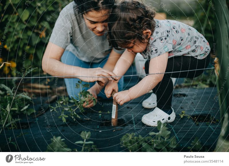 Mutter und Tochter bei der Gartenarbeit Mutterschaft Kind 18-30 Jahre 30-45 Jahre 1-3 Jahre Eltern 3-8 Jahre Außenaufnahme Frau Erwachsene