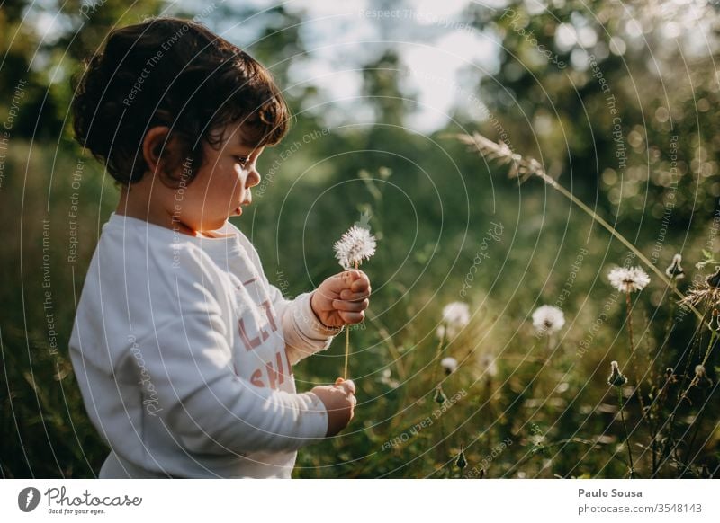 Kind hält Löwenzahn Kindheit Frühling Frühlingsgefühle Frühlingsblume Blume Blühend schön Schönes Wetter Tag Sonnenlicht Frühlingstag 1-3 Jahre Kaukasier Garten