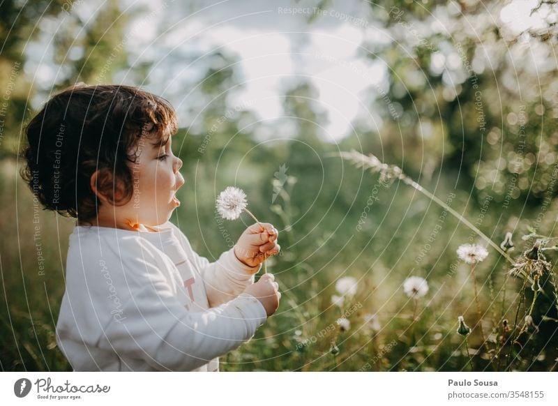 Kind bläst Löwenzahn Kindheit Natur Kaukasier Menschen 1-3 Jahre Farbfoto Kleinkind 3-8 Jahre Mädchen Porträt Fröhlichkeit Spielen Blick Außenaufnahme Lächeln