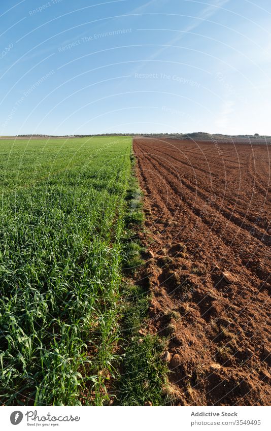 Landwirtschaftliches grünes und gepflügtes Feld Ackerbau Hälfte Pflanze pflügen Boden Blauer Himmel Landschaft ländlich sonnig Bauernhof Sonne Ackerland