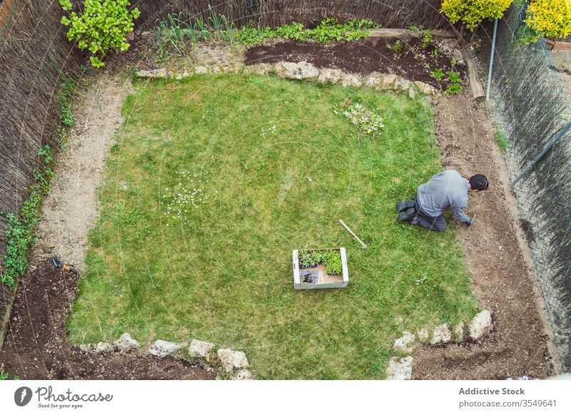 Mann arbeitet mit dem Rechen im Garten Gärtner Arbeit Harke kultivieren Werkzeug Hof Handschuh Boden Arbeitsbekleidung Ackerbau Pflanze Botanik Bauernhof Hobby