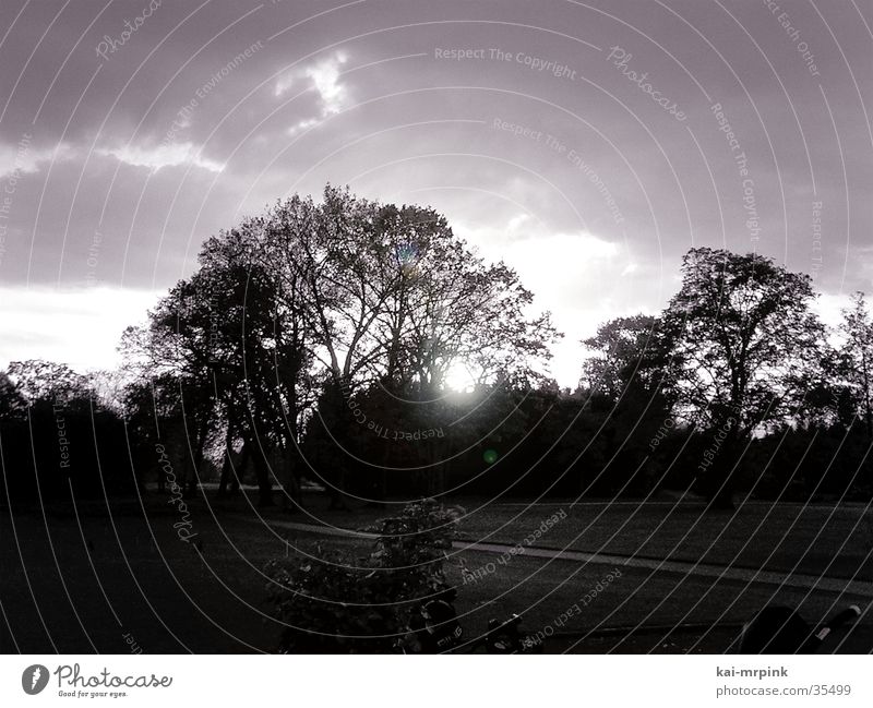 sunover Sonnenuntergang Sommer Wolken Baum Landschaft