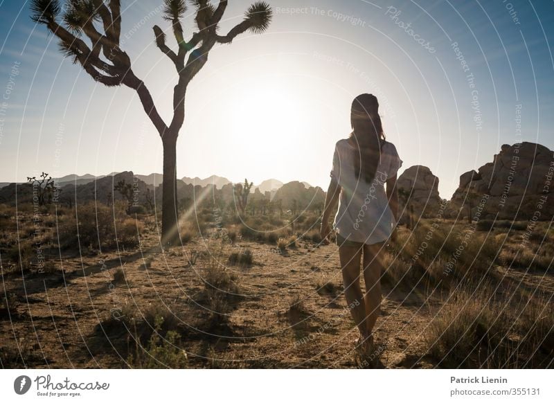 Phoenix Mensch feminin Frau Erwachsene Körper 1 Umwelt Natur Landschaft Urelemente Sand Luft Himmel Sonne Sonnenfinsternis Sonnenaufgang Sonnenuntergang