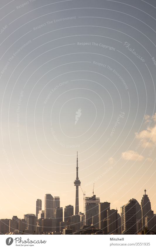 Toronto Skyline während der Golden Hour Wolkenkratzer Architektur Wahrzeichen Stadtbild Stadion Panorama Kanada reisen Abend Hafengebiet urban Sonnenuntergang