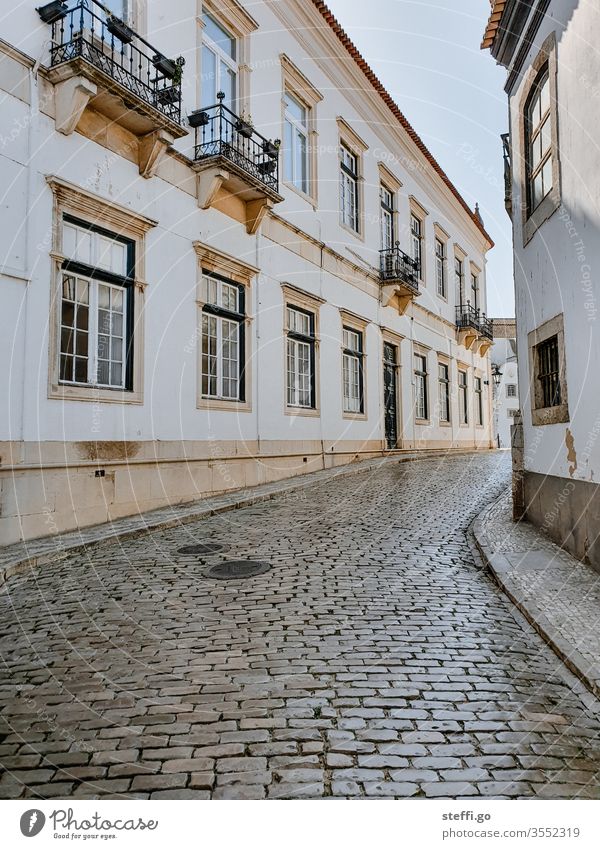 Blick von der Kathedrale über Faro und Wasserlandschaft, Portugal Ferien & Urlaub & Reisen Tourismus Tag Himmel Sommer Außenaufnahme Farbfoto Architektur Europa