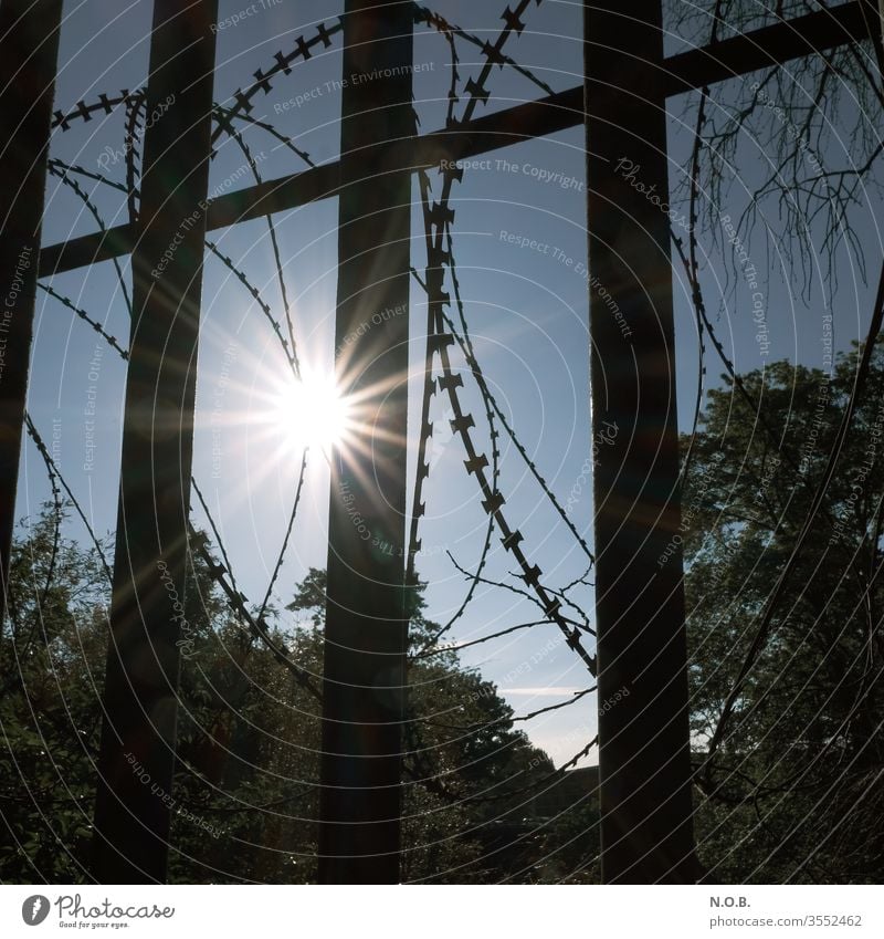 Sonne hinter Gittern und Stacheldraht Metall Außenaufnahme Menschenleer Tag Sicherheit Schutz Zaun Farbfoto Barriere Grenze Verbote gefangen Draht Angst Himmel