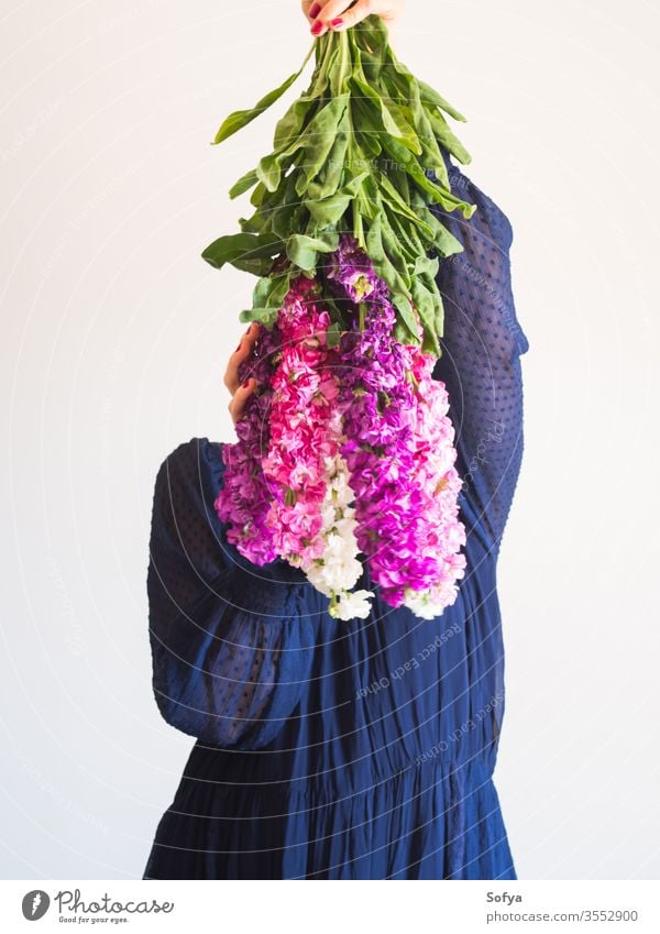 Kreatives weibliches gesichtsloses Porträt mit Blumenstrauss rosa Muttertag Frau Frühling matthiola incana Haufen purpur romantisch Blumenstrauß Frauentag