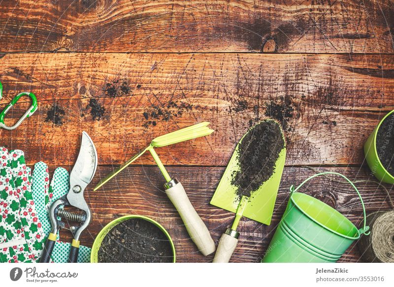 Bereit für die Gartenarbeit im Frühling Blume grün Sommer Wachstum Natur Bewässerung Blumentopf Haus im Freien Pflanze geblümt Topf botanisch Hausarbeit hölzern