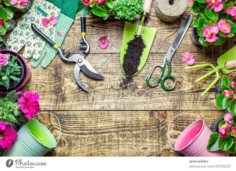 Komposition mit Blumen und Gartengeräten grün Sommer Frühling Wachstum Natur Gartenarbeit Bewässerung Blumentopf Haus im Freien Pflanze geblümt Topf botanisch