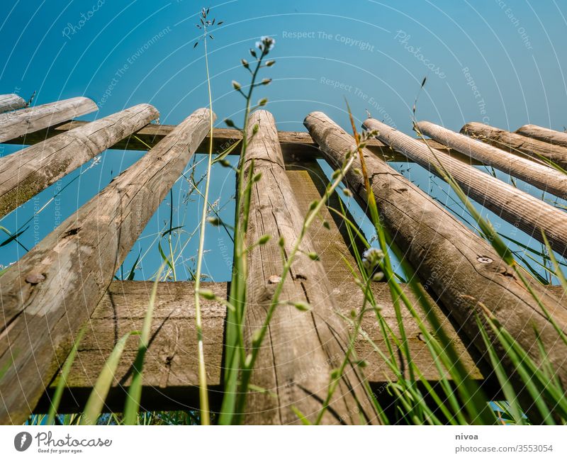 Zaun Gras Farbfoto Himmel Tag Außenaufnahme Natur grün Wiese Menschenleer Zaunpfahl Schönes Wetter Weide Wolken Textfreiraum oben Umwelt blau Feld Landschaft