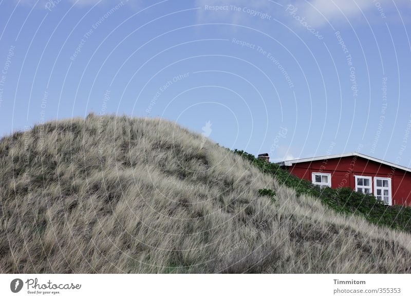 Zusammen. Ferien & Urlaub & Reisen Umwelt Pflanze Himmel Schönes Wetter Nordsee Düne Dänemark Haus Ferienhaus Fassade Fenster Dach ästhetisch einfach blau grau