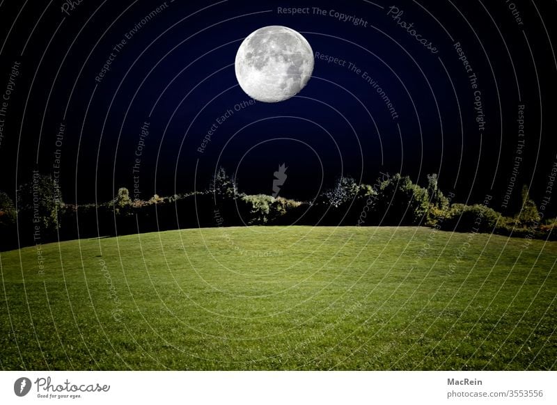 Vollmond vollmond mondkrater mondschein Planet nacht rasen Wiese Park niemand textfreiraum