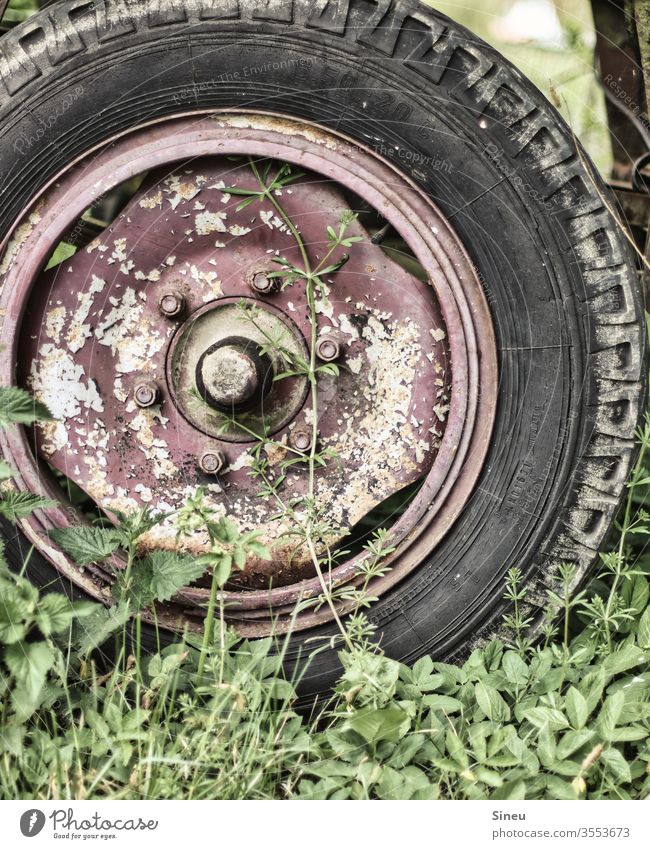 Beziehungsgeschichten Reifen Autoreifen Reifenprofil Gummi alt ehrwürdig verwittert Vergänglichkeit Patina Unkraut junge Grünpflanze Flora Bauernhof