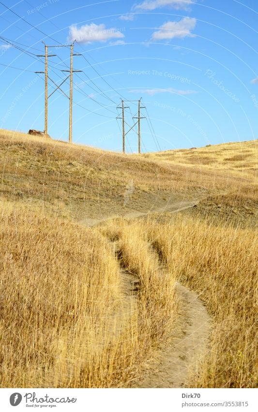 Prärie in Colorado Gras Wiese trocken Trockenheit trockenes Gras Stromleitungen Energie Energieversorgung ländlich Boulder Außenaufnahme Natur Landschaft Feld