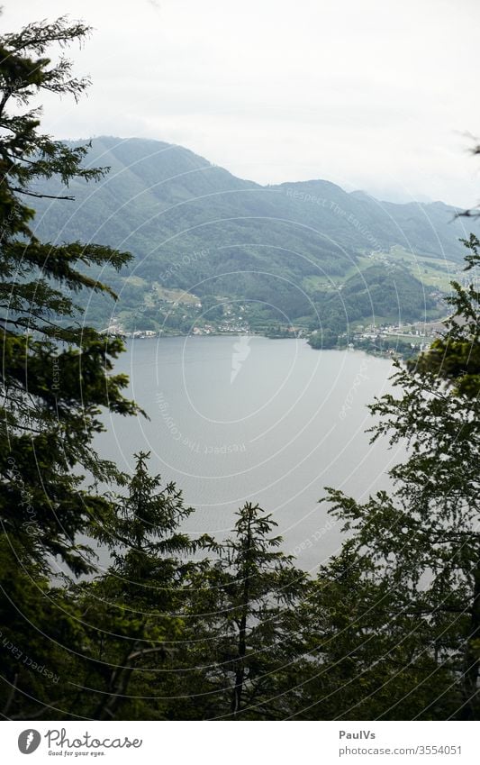 Blick auf Traunsee, Gmunden und Altmünster vom Traunstein durch Bäume Wald Berg Bergwald Hochwald See Salzkammergut bewölkt Berge Gebirge Gipfel Alpin Alpen