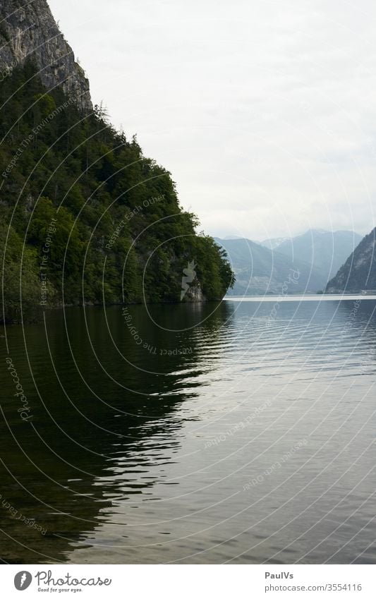 Seeblick Traunsee Alpensee Spiegelung Wald und Wasser Berg Ufer Klippe Seeufer Salzkammergut bewölkt Traunstein Gmunden Oberösterreich Österreich Urlaub