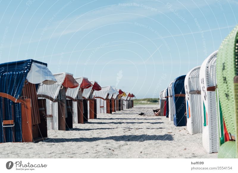 Strandkörbe am Meer Strandkorb Strandkorbvermietung Lockdown Leerstand leerstehend Ostsee Ferien & Urlaub & Reisen Sand Erholung Küste Himmel Sommer ruhig