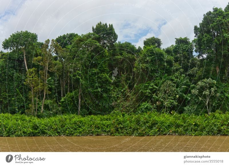 Blick von einem Flussschiff, Amazonasbecken, Brasilien Abenteuer Amazonas-Becken schön Schönheit der Natur Farbe farbenfroh extrem Dschungel Wahrzeichen