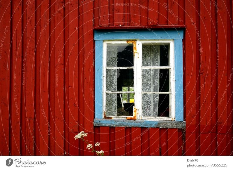 Irgendwo in Norwegen - blaugerahmtes Fenster eines roten Holzhauses Haus Detailaufnahme detail Fensterrahmen Vorhang Spitze Norwegenurlaub Bretterwand