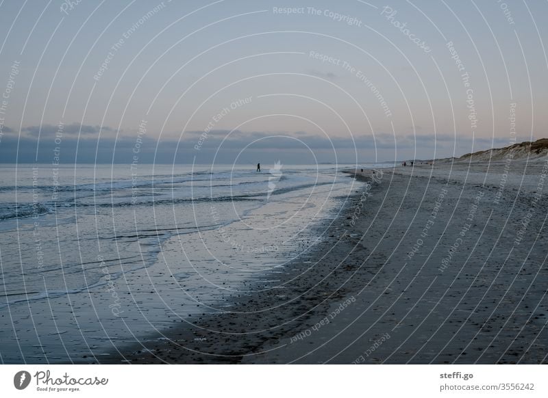 Strand in Dänemark bei Abenddämmerung mit Personen in der Ferne Skandinavien Hvide Sande Meer Küste Ferien & Urlaub & Reisen Außenaufnahme Farbfoto Landschaft