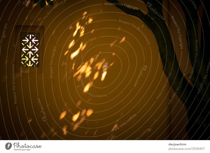 Kleines Fenster.Gelbe Wand , Licht und Schatten und ein Teil von einem Baum. licht und Schatten Farbfoto Außenaufnahme Lichterscheinung Tag