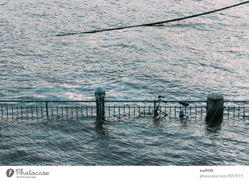 Fahrrad vom Hochwasser halb verschlungen hochwasserlage Überflutet Rad Klimawandel globale Erwärmung Meer Wasser Landschaft Umwelt Weser sturmflut