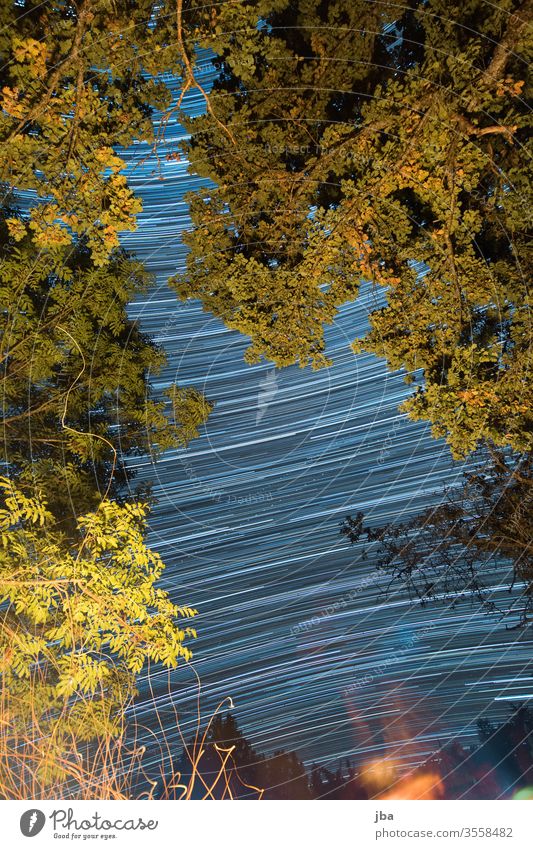 Langzeitbelichtung vom Lagerfeuer aus Sternenhimmel Long exposure Eiche Ast Äste Blätter Feuer Glut Glutstreifen Natur draussen Himmel Nachthimmel Abend