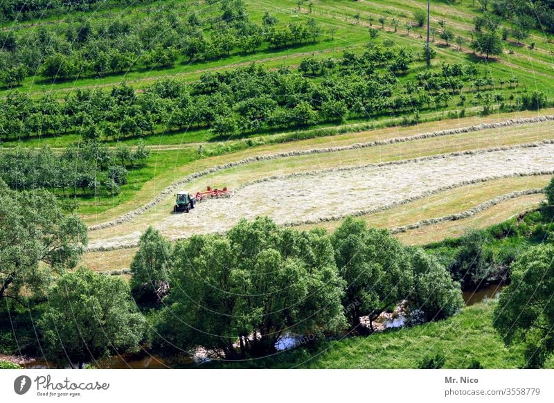 Heuernte Landwirtschaft Ernte Gras Natur Arbeit & Erwerbstätigkeit Pflanze Landschaft Hügel Wiese Feld Wachstum grün frisch Bauernhof Landleben Sommer ländlich