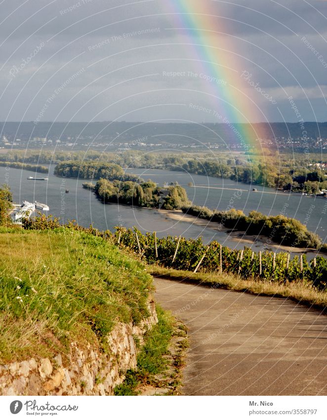 Rüdesheimer Aue Ferien & Urlaub & Reisen Tourismus Fluss Rhein Weinberg Aussicht Deutschland Sehenswürdigkeit Landschaft Ausflug Sommer Natur wandern rheinland