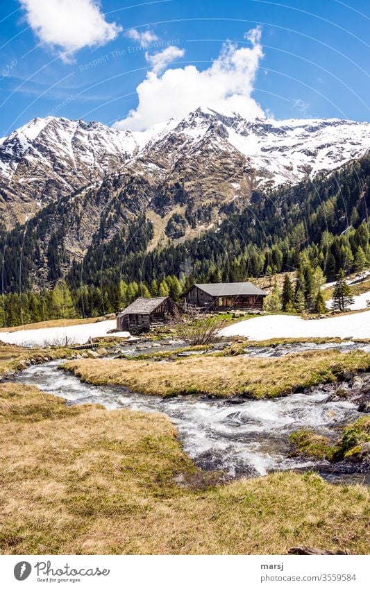 Neualm und Obertalbach mit Wasserfallspitze im Hintergrund Alm Almhütten Bergbach Berge Schneebedeckte Gipfel Frühlingserwachen belebend neues Leben