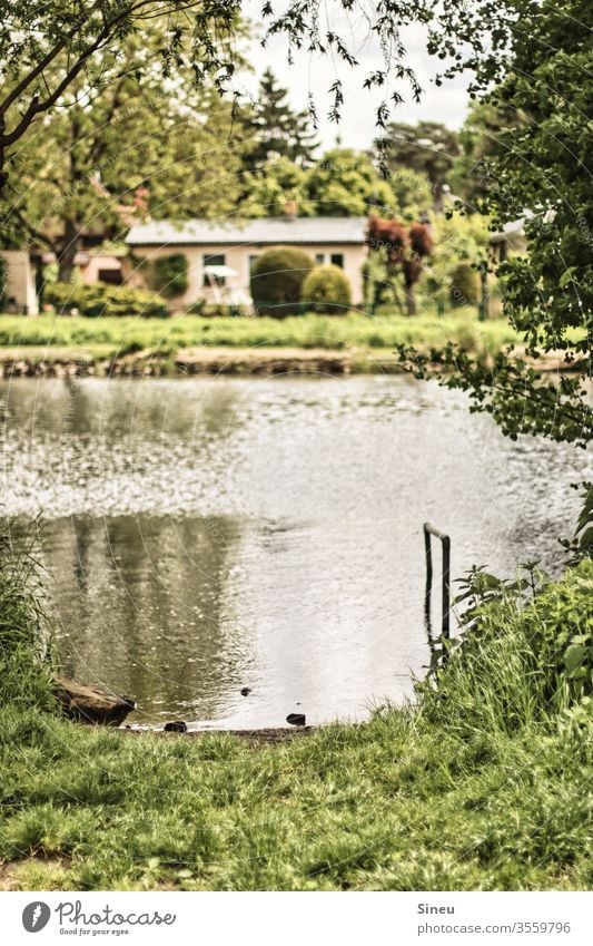 Haus am See Wochendhaus Wassergundstück Gebäude Havel Fluss Flussufer Seeufer Steg Anlegestelle Reflexion & Spiegelung Natur Landschaft Umwelt natürlich