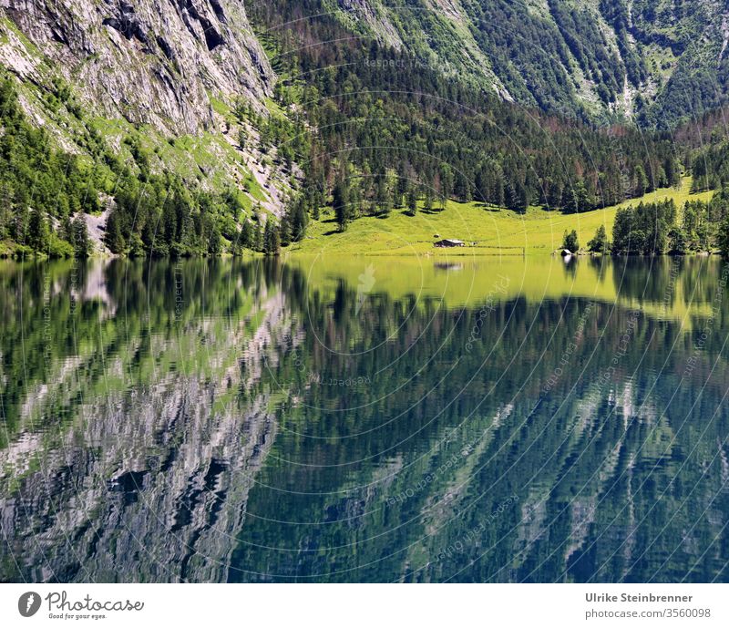 Spiegelung einer Alm im Wasser des Königsees in Berchtesgaden Alpen See Gebirge Berge Gestein Obersee Königssee Schönau Wald Bäume Gebirgssee Fischunkelalm