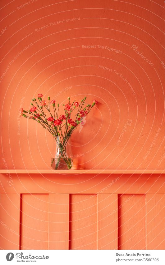 Warme Farben wohnen Blumenstrauß Vase Wohnung Wand wandfarbe bunt farbenfroh Sommer orange-rot Innenaufnahme Inneneinrichtung Architektur Innenarchitektur