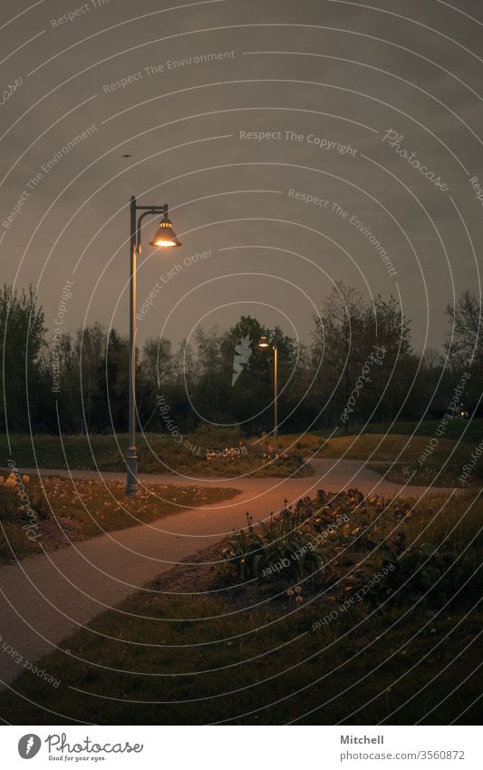 Von Pot-Lights beleuchteter Parkweg in der Abenddämmerung Nachlauf Straße Außenaufnahme Landschaft Umwelt Abenteuer Fernweh Nostalgie Kleinstadt