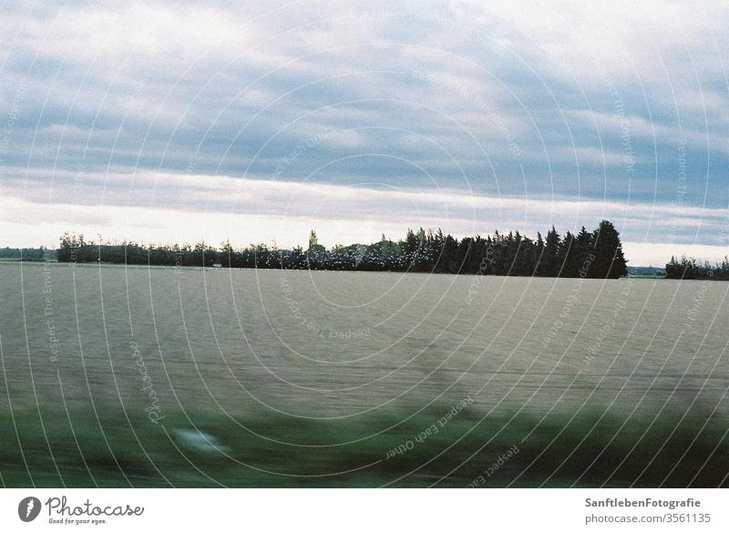 Vogelschwarm über Feld horizontal Fahrtwind Landschaft Vögel wolken Schwarm Außenaufnahme fahren Ländliche Szene ländliche Umgebung Natur Vogelflug Farbfoto