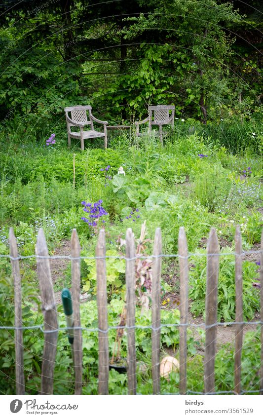 Idyllischer Bauerngarten mit Staketenzaun und gemütlicher Sitzgelegenheit Garten Kräutergarten biologisch Gemüsegarten Natur Sitzecke Stühle staketenzaun Idylle