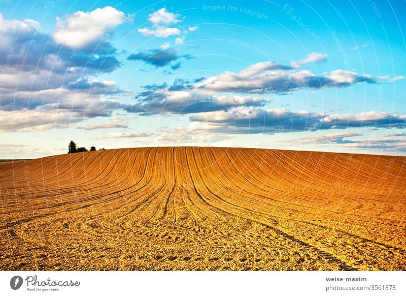 Linear gepflügter Ackerbau auf Hügeln Feld Land anbaufähig ländlich Natur Landschaft Frühling Ackerland Furche Bauernhof Schmutz Boden kultiviert Hintergrund