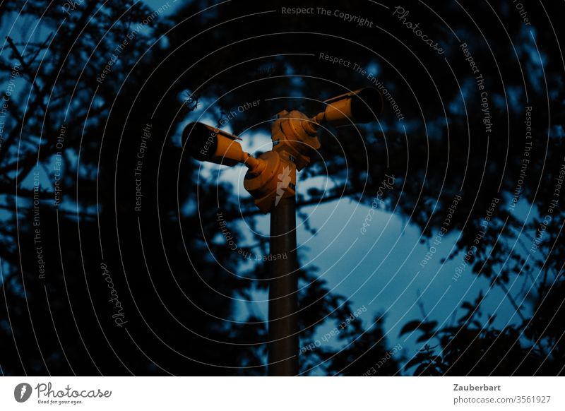 Unheimliche Überwachungskameras vor dunklen Bäumen Kamera Video Videoüberwachung Baum Wald Dunkelheit Abend Nacht unheimlich Angst beängstigend Alarm