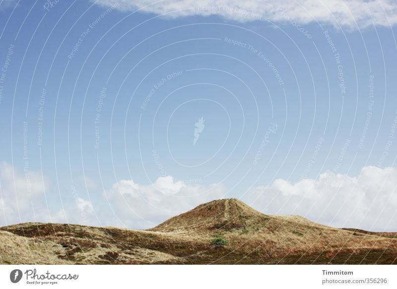 Sonnentag. Ferien & Urlaub & Reisen Umwelt Natur Landschaft Pflanze Sand Himmel Wolken Schönes Wetter Dünengras Nordsee Dänemark Wege & Pfade groß blau Gefühle