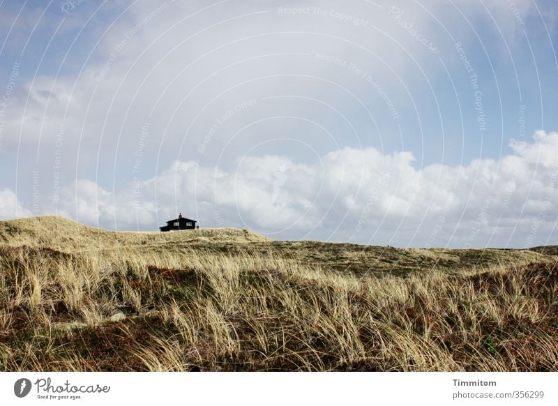 Abstand. Ferien & Urlaub & Reisen Umwelt Landschaft Pflanze Himmel Wolken Schönes Wetter Nordsee Düne Dänemark Haus Ferienhaus Gefühle Geborgenheit ruhig