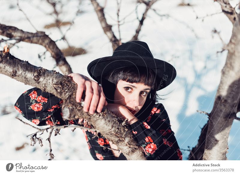 Charmante Frau im Wintergarten Stil Mode schön Baum Garten Park Schnee Hut jung brünett Natur trendy Windstille sich[Akk] entspannen ruhig charmant Dame