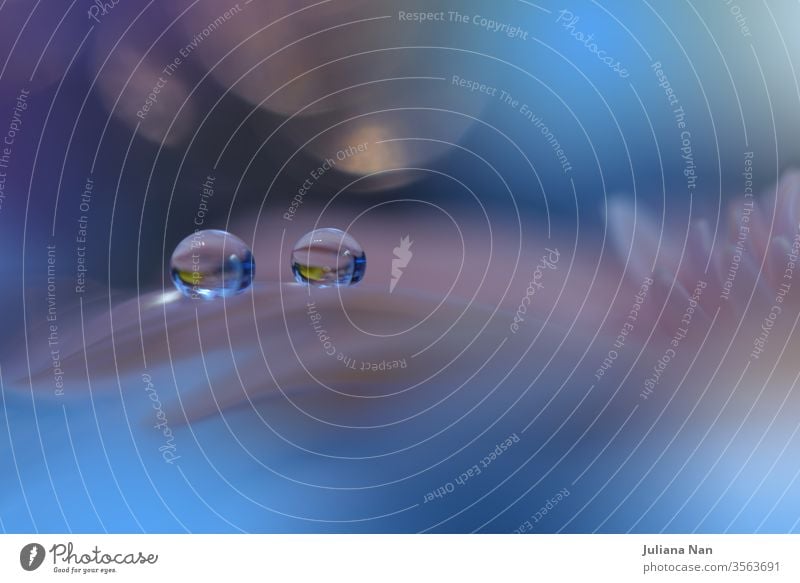 Wunderschöner Naturhintergrund.Florales Kunstdesign.Abstrakte Makrofotografie.Farbenfrohe Blume.Pastellblumen.Blauer Hintergrund.Kreative künstlerische Tapete.Feier,Liebe.Nahaufnahme.Fröhliche Feiertage.Kopierraum.Klassische blaue Farbe des Jahres.Wassertropfen.Spa.