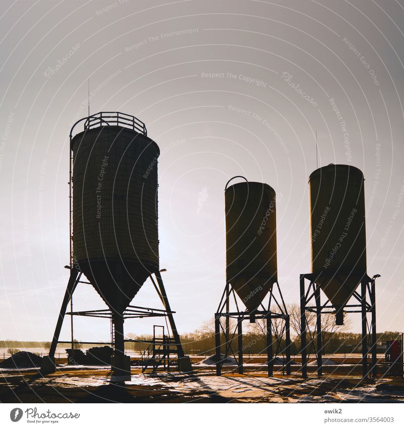 Vor dem Start Silos Silhouette drei Wolkenloser Himmel Sonnenlicht Farbfoto Natur Menschenleer Schönes Wetter Tag Gegenlicht Kontrast Licht