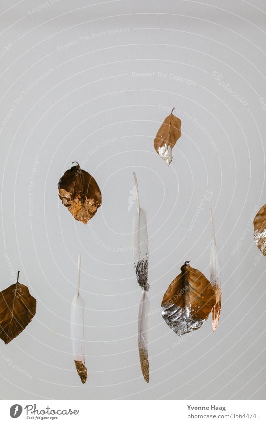 Blätter und Federn schweben in der Luft Schweben weiß Farbfoto goldrand silber fliegen fliegend weißer Hintergrund braun braune blätter Herbst herbstlich Wald