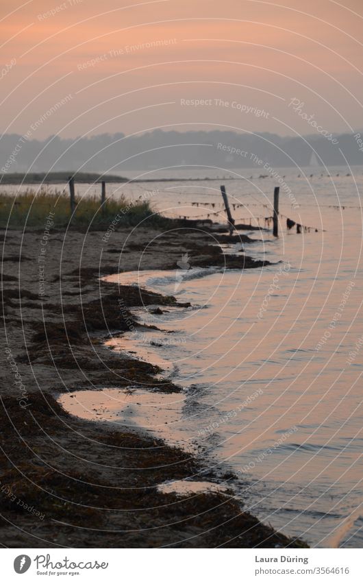 Strand im Abendlicht bei Sonnenuntergang Holnis Meer Romantik Wellen Wasser Sonnenlicht Dämmerung Natur Außenaufnahme Landschaft Umwelt Ferne Menschenleer