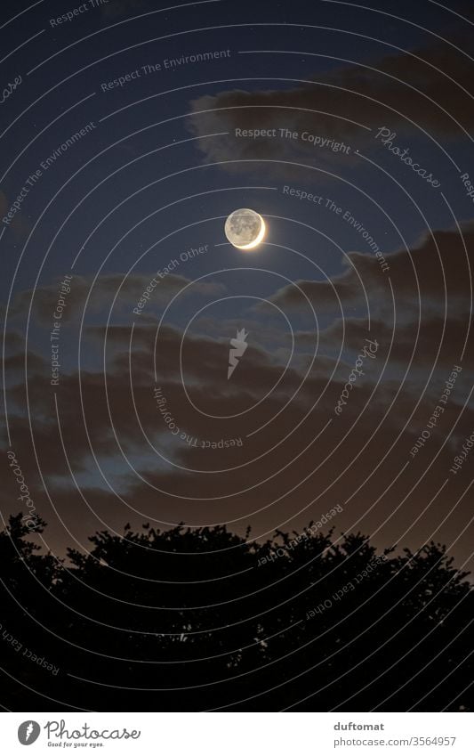 lunatic Mond Mondschein Mondfinsternis Mondsüchtig mondgesicht Mond- Nacht Abend Nachthimmel Nachtruhe Nachtaufnahme Himmel Himmelskörper & Weltall dunkel Luna