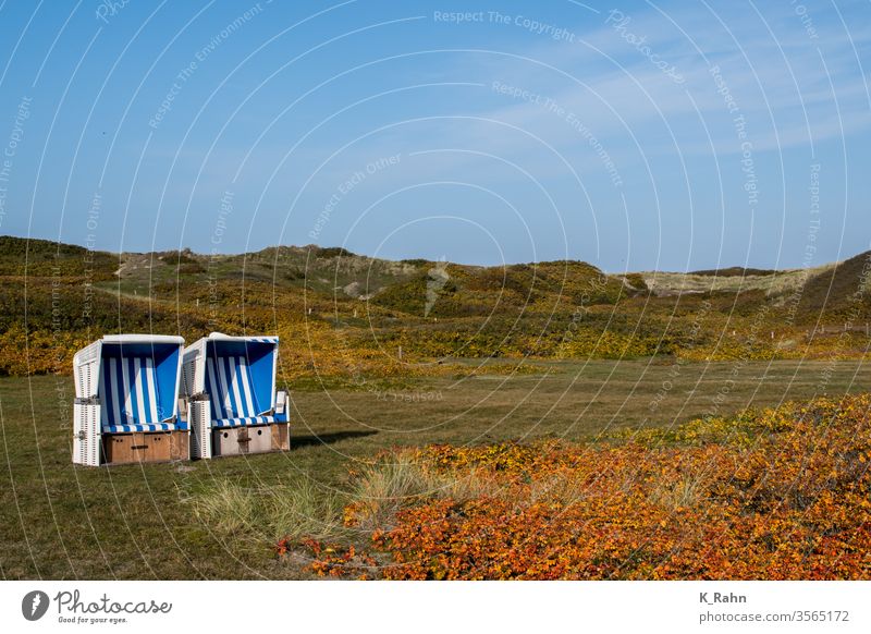 Strandkorb in den Dünen meer strand wasser pfeiler himmel landschaft ozean see natur sonne küste brücke reisen holz wolken horizont blau gelassenheit sylt insel