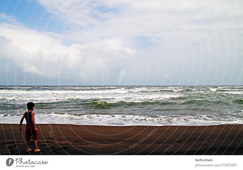 tag am meer costa rica besonders beeindruckend staunen Spielen Fröhlichkeit glücklich träumen Horizont Junge Kind Kindheit Zufriedenheit Glück Karibisches Meer