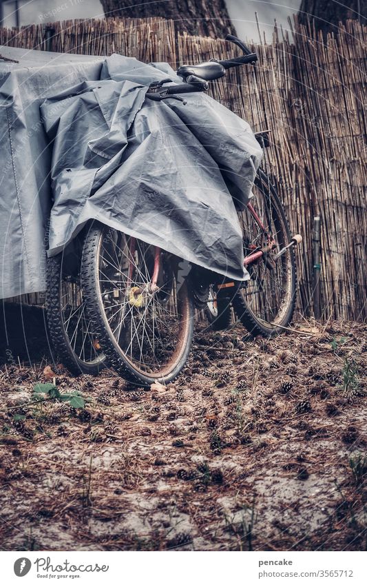 gefangen in plastik | sicherungsverwahrung Fahrrad Abdeckung Plane draußen Winter Reetzaun grau trüb abgestellt Schutz Winterquartier Campingplatz Regenschutz